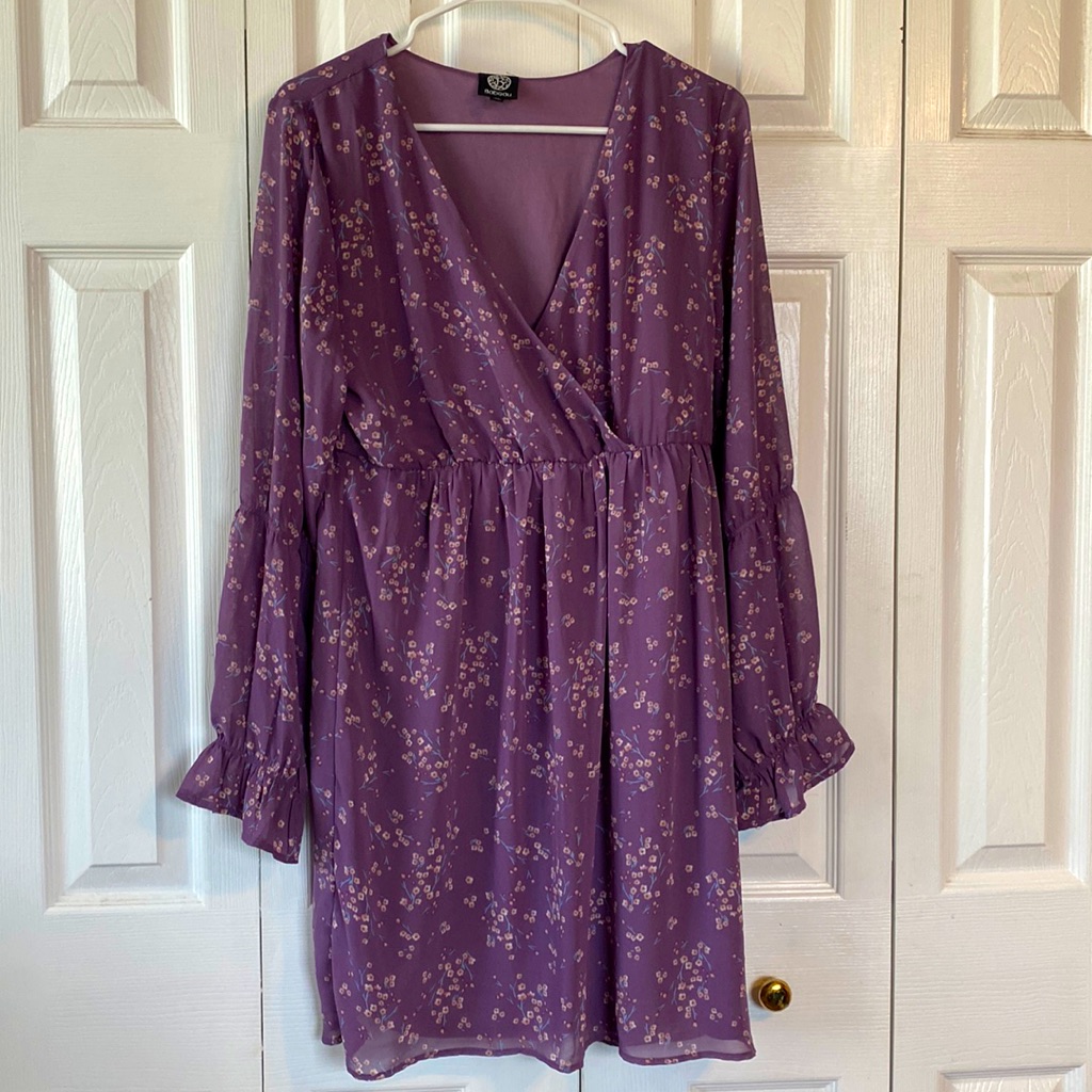 Beautiful Empire Waist Dress With Gorgeous Sleeves